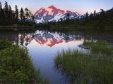 The Light - Picture Lake