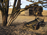 Forgotten