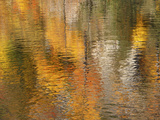 Reflections