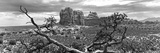 Panoramique Paysage Dans Arches National Park Dans L'Ouest Des États Unis III