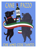 Cane Pazzo