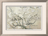 Almond Branches in Bloom  San Remy  c1890 (tan)