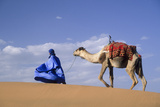 Man Leading Camel on Sand Dunes  Tinfou (Near Zagora)  Morocco  Africa