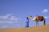 Man Leading Camel on Sand Dunes  Tinfou (Near Zagora)  Morocco  Africa