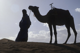 Man Leading Camel on Sand Dunes  Tinfou (Near Zagora)  Morocco  Africa