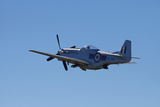 P-51 Mustang  American Fighter Plane  War Plane