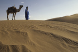 Man Leading Camel on Sand Dunes  Tinfou (Near Zagora)  Morocco  Africa