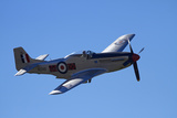 P-51 Mustang  American Fighter Plane  War Plane