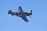 P-51 Mustang  American Fighter Plane  War Plane