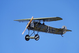 German WWI Fokker D-8 Fighter Plane  War Plane