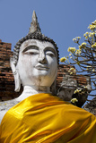 Buddha Statue  Wat Phra Chao Phya-Thai  Ayutthaya  Thailand