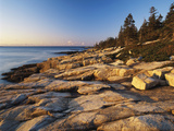 Mt Desert Island  View of Rocks with Forest  Acadia National Park  Maine  USA