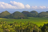 Chocolate Hills  Bohol Island  Philippines