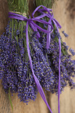 Bunches of Lavender Drying Shed at Lavender Festival  Sequim  Washington  USA