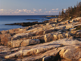 Mt Desert Island  View of Rocks with Forest  Acadia National Park  Maine  USA