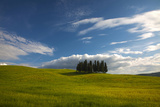 Tuscan Hill Side Cypress Tree Grouping  Italy