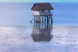 A Small Fishing House in the Water  Bohol Island  Philippines