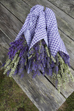 Wrapped Bouquets of Dried Lavender at Lavender Festival  Sequim  Washington  USA