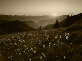 Obstruction Point at Sunset  Olympic National Park  Washington State  USA