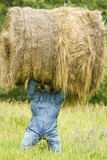 Creative Hay Bale Art Near Bottineau  North Dakota  USA