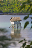 A Small Fishing House in the Water  Bohol Island  Philippines