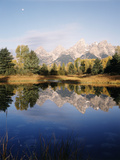 Grand Teton Mountains in Beaver Pond  Grand Teton National Park  Wyoming  USA