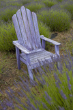 Garden  Adirondack Chair and Straw Hat  Lavender Festival  Sequim  Washington  USA