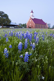 Art Methodist Church and Bluebonnets Near Mason  Texas  USA