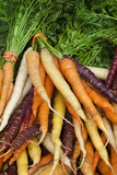 Fresh Carrots at a Farmers' Market  Savannah  Georgia  USA