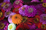 Zinnia's at a Farmer's Market in Savannah  Savannah  Georgia  USA