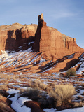 Rabbit Brush  Chimney Rock  Capitol Reef National Park  Utah  USA