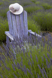 Garden  Adirondack Chair and Straw Hat  Lavender Festival  Sequim  Washington  USA
