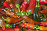 Fresh Colorful Peppers at a Farmers' Market  Savannah  Georgia  USA