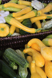 Organic Squash at a Farmer's Market in Savannah  Savannah  Georgia  USA