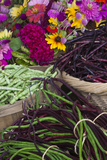 Flowers and Vegetables at Farmers' Market  Savannah  Georgia  USA