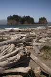 First Beach with Sea Stacks  Olympic National Park  La Push  Washington  USA