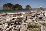 First Beach with Sea Stacks  Olympic National Park  La Push  Washington  USA
