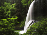 View of Middle North Falls  Silver Falls State Park  Oregon  USA