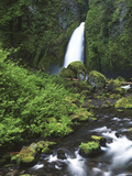 Wahclella Falls and Tanner Creek  Columbia River Gorge  Oregon  USA