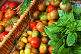 Tomatoes and Basil at Farmers' Market  Savannah  Georgia  USA