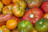 Fresh Tomatoes at a Farmers' Market  Savannah  Georgia  USA