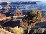 Sunrise View of Dead Horse Point State Park and Colorado River  Utah  USA
