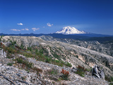 Mt Adams from Windy Ridge  Mt St Helens Volcanic National Monument  Washington  USA