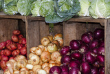 Fresh Colorful Vegetables at a Farmers' Market  Savannah  Georgia  USA