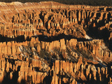 Bryce Point and Amphitheater at Sunrise  Bryce Canyon National Park  Utah  USA