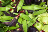 Fresh Organic Vegetables at a Farmers' Market  Savannah  Georgia  USA