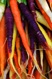 Multi Colored Carrots at a Farmer's Market in Savannah  Georgia  USA