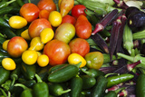 Fresh Organic Vegetables at a Farmers' Market  Savannah  Georgia  USA