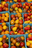 Cherry Tomatoes at a Farmer's Market in Savannah  Georgia  USA