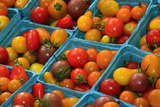 Cherry Tomatoes at a Farmer's Market in Savannah  Georgia  USA
